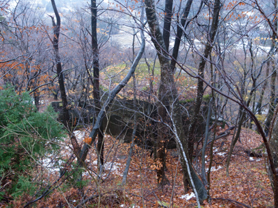 サージタンク サージタンク